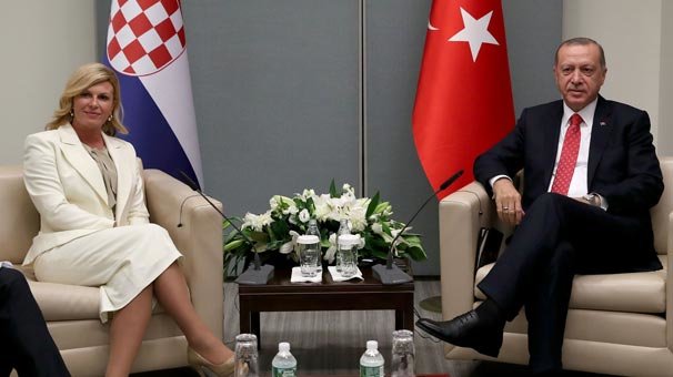 Cumhurbaşkanı Erdoğan, Kitaroviç ile görüştü