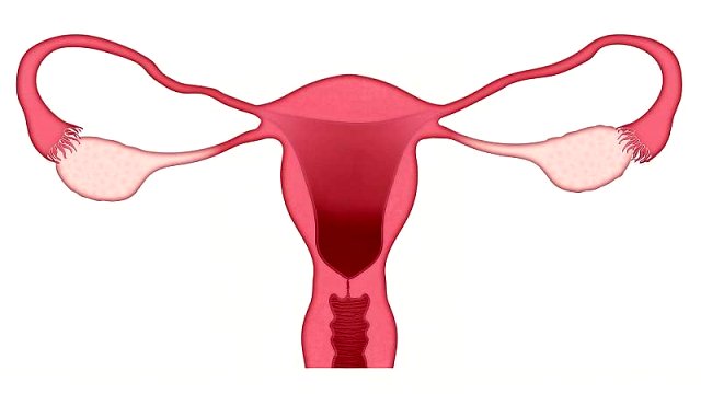 Dünya Menopoz Günü: Gündemde iş yerinde menopoz politikası ve testosteron tedavisi var