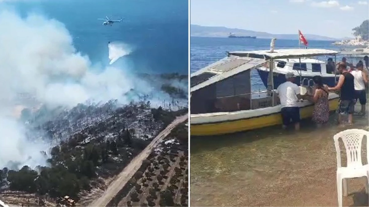 İzmir'de orman yangını! Alevler 2 eve sıçradı, yazlıklar tahliye ediliyor