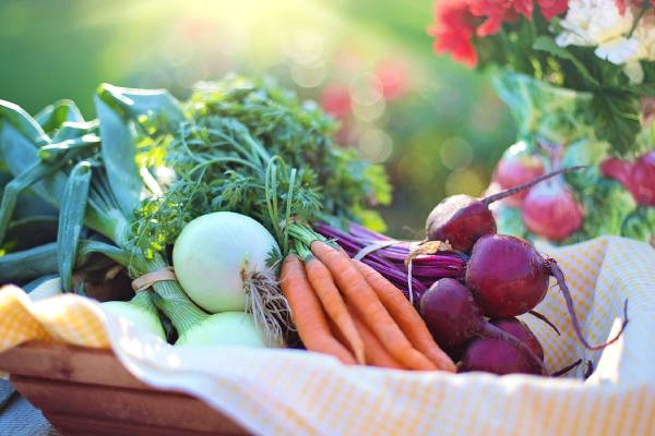 Kanserden Korunmak İçin Meyve ve Sebze Tüketin