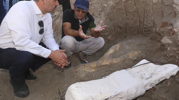 Kayseri'de 2 metrelik fil kafası çıkarıldı