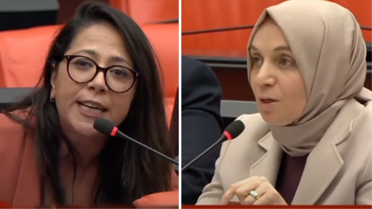 TİP Milletvekili Sera Kadıgil ve AK Parti Grup Başkanvekili Leyla Şahin Usta arasında 