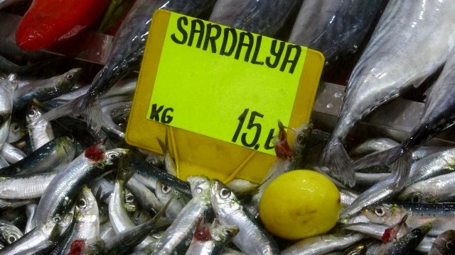 (Özel) Sardalyanın kilosu 15 liraya düştü