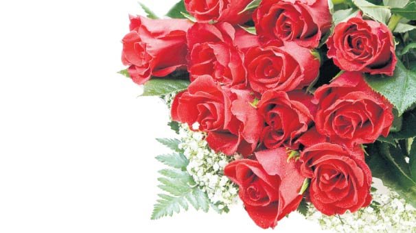 10 bin liraya 1001 gül buketi