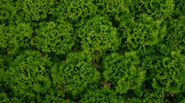 150 bin lira harcadı! 1 yıl sürdü...