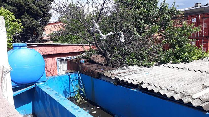 20 gün sonra bulundu! Kuyuya atılmış, üzeri betonla kapatılmış