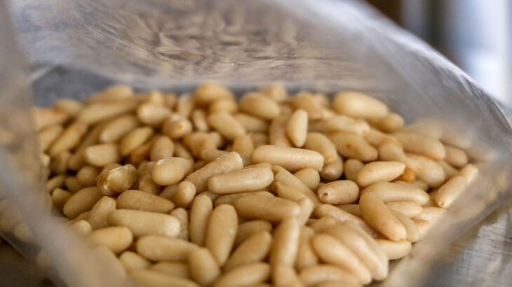 20 liralık yer fıstığını, 800 liralık çam fıstığı diye satıyorlar