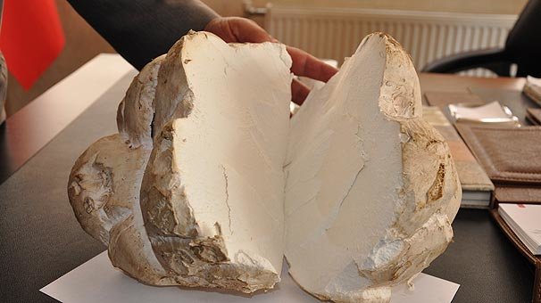 2,5 kilo ağırlığındaki mantar şaşırttı