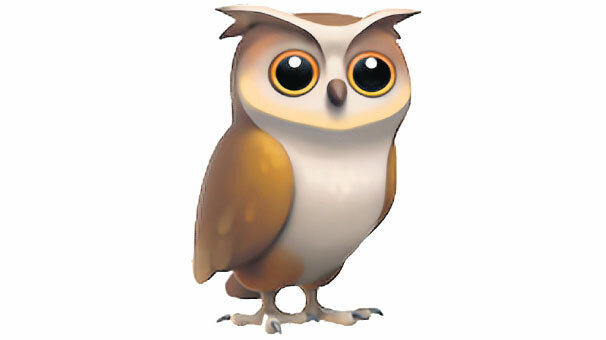 3 haftada ‘baykuş’luğa son