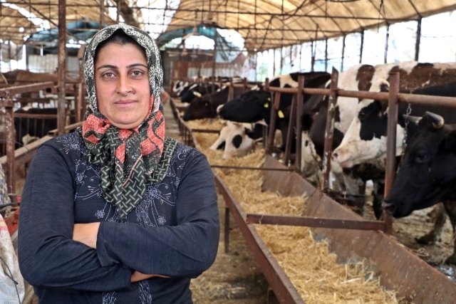 4 bilezikle girdiği hayvancılık işinde Kurban Bayramı öncesi servetine servet kattı