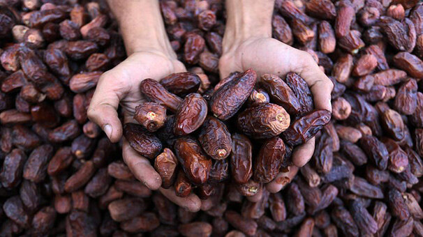 5 yılda 175 milyon dolarlık hurma ithal edildi