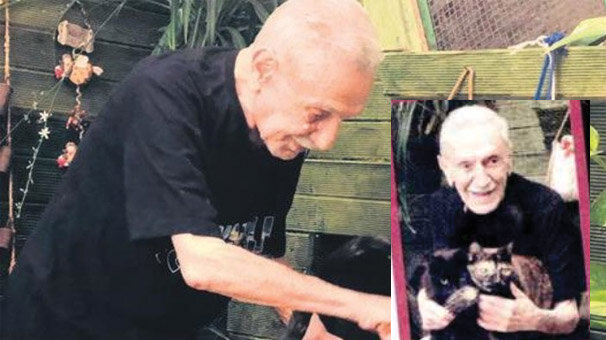 50 bin liraya kedilerine ev yaptırıyor