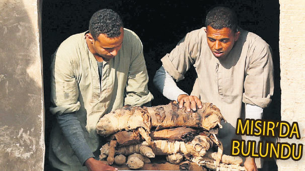 7 firavun mezarı ve böcek mumyası
