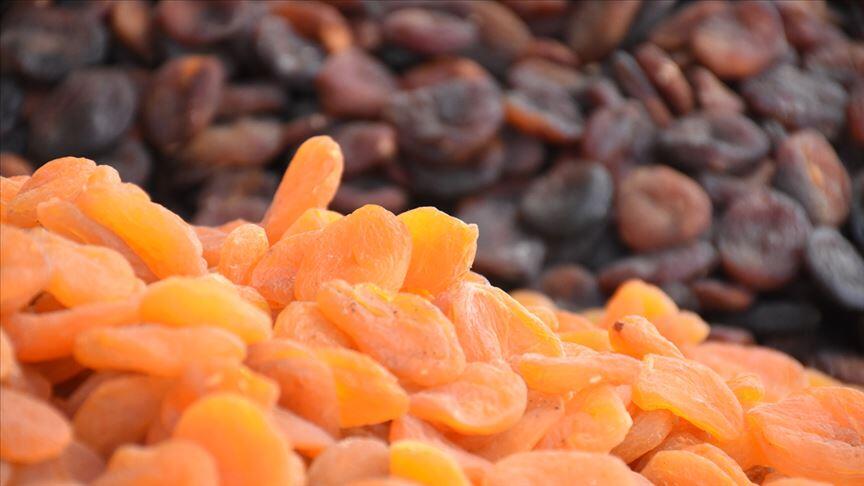 ABD ve Çin'e kuru kayısı ihracatının artırılması hedefleniyor