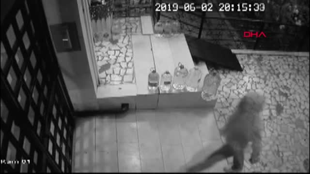 AÇAMADIKLARI KASAYI TAŞIYARAK ÇALAN ŞÜPHELİLER KAMERADA