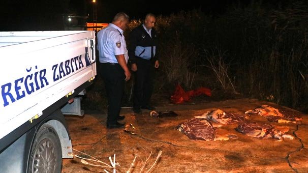 Adana'da boş arazide bulundu! 400 kilogram at eti ele geçirildi