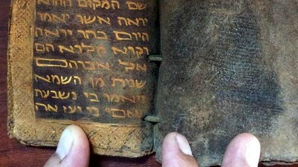 Adana'da ele geçirildi! Ceylan derisine altın yazmalı...