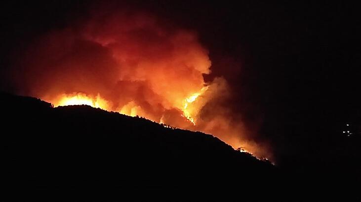 Adana'da korkutan yangın! Bazı vatandaşlar evlerini boşalttı