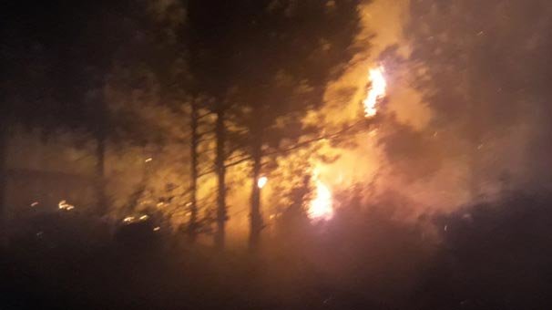 Adana'da orman yangını