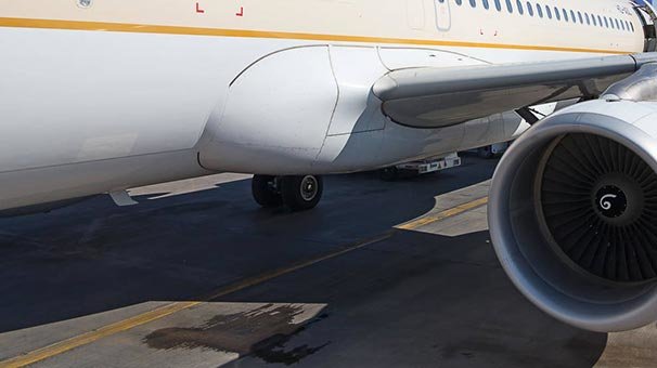 Adana'da Suudi Arabistan uçağına operasyon