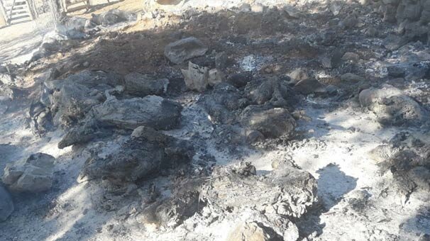 Ahırda çıkan yangında 100 küçükbaş hayvan telef oldu