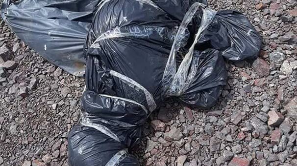 Ankara'da yine hayvan katliamı!