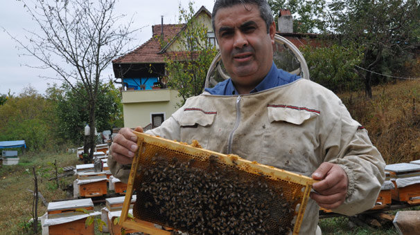 Anzer balı ile yarışacak! Kilosu 125 lira...