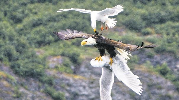 Arkadaşlarını kaptırmadılar