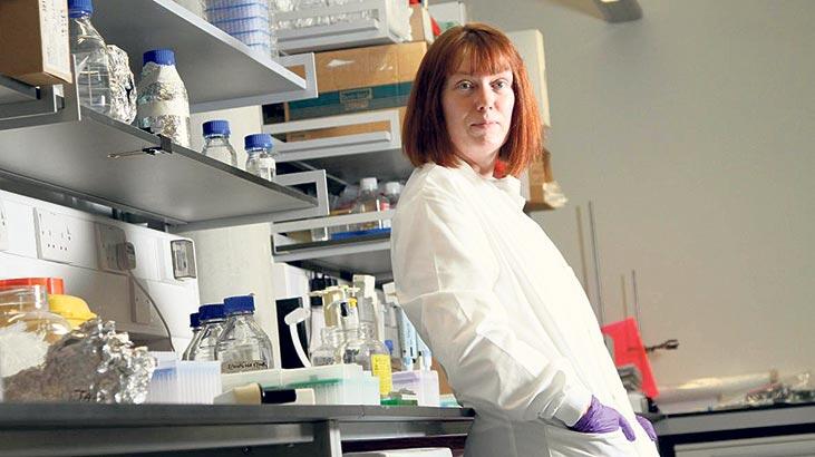 Aşı geliştirildikten sonra  2 hafta içinde insan üzerinde denenebilir