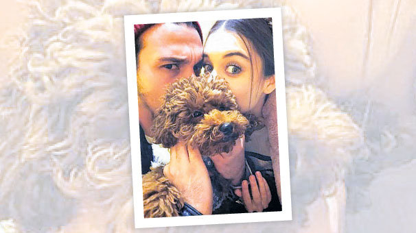 Aşk altı ay sürdü