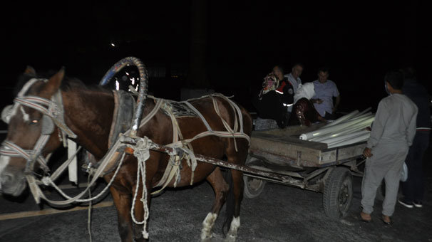At arabasıyla gözaltına alındılar
