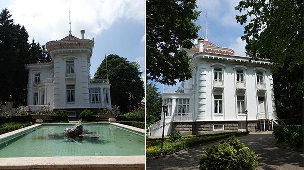 Atatürk Köşkü Ormanı'ndaki ağaçların neden kuruduğu araştırılıyor