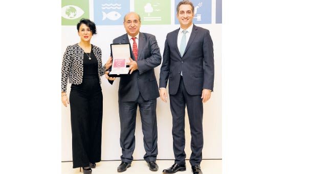 Avis’e sosyal ödül geldi