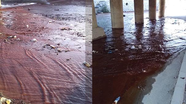 Aydın İl Çayı Deresi kan gölüne döndü