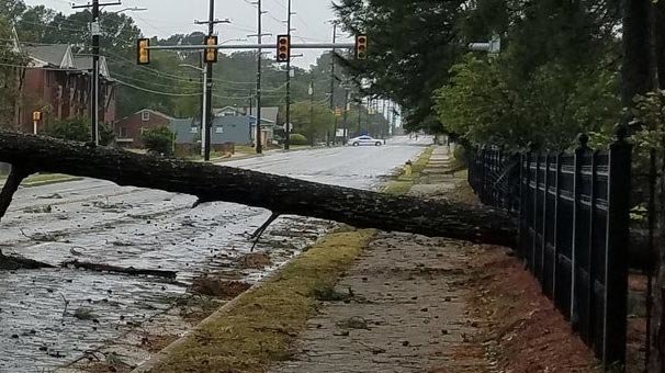 Aydın’da izinlere tropik fırtına iptali