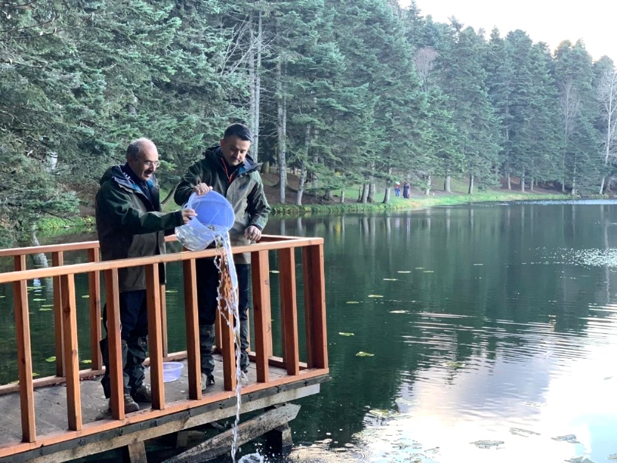 Bakan Pakdemirli kara akbabayı doğaya saldı