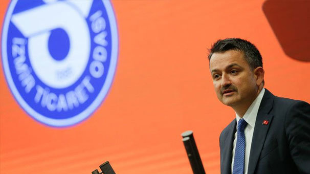 Bakan Pakdemirli: Türkiye balık ürünleri ihracatında 1 milyar doları geçti