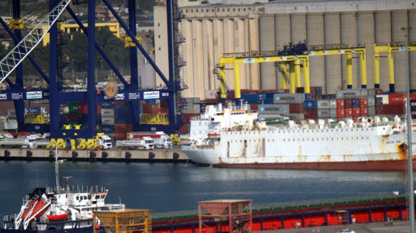 Bakanlık açıkladı: Julia Ak Gemisi'ndeki hayvanlar hastalık taşımıyor