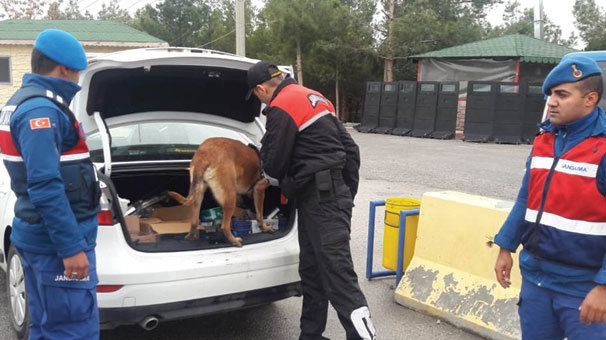 Bakanlıktan son dakika açıklaması! Aranan bin 137 kişi yakalandı