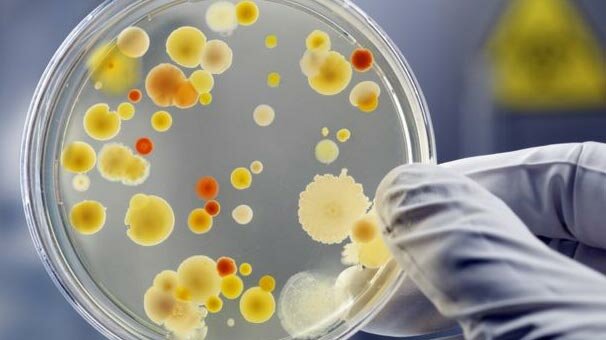 Bakterilerin havada binlerce kilometre gidebildiği tespit edildi
