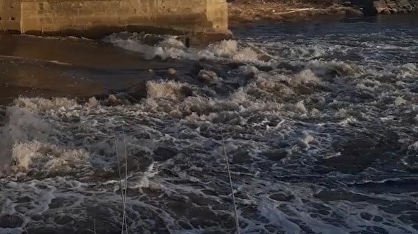 Balık ağına takılı halde bulundu!