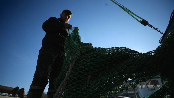 Balıkçılar uyardı: Hamsi fiyatı yükselişe geçebilir