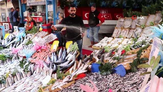 Balıkçıların 