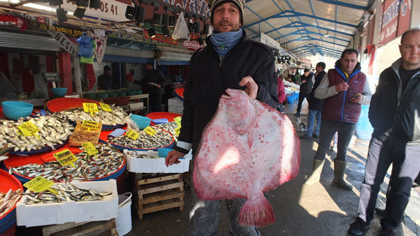 Balıkların paşası 750 liraya satıldı