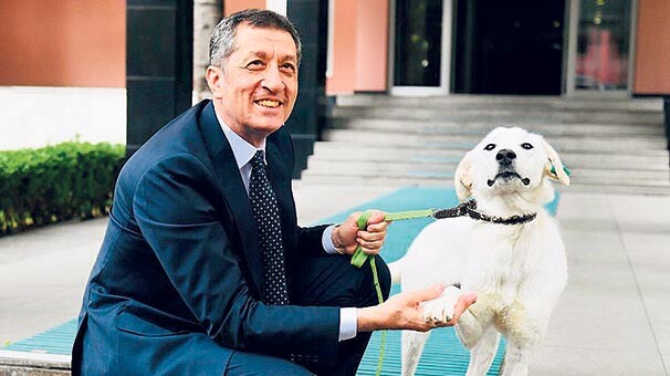 Barınaktan  Bakanlığa  ‘Pergel’ transferi