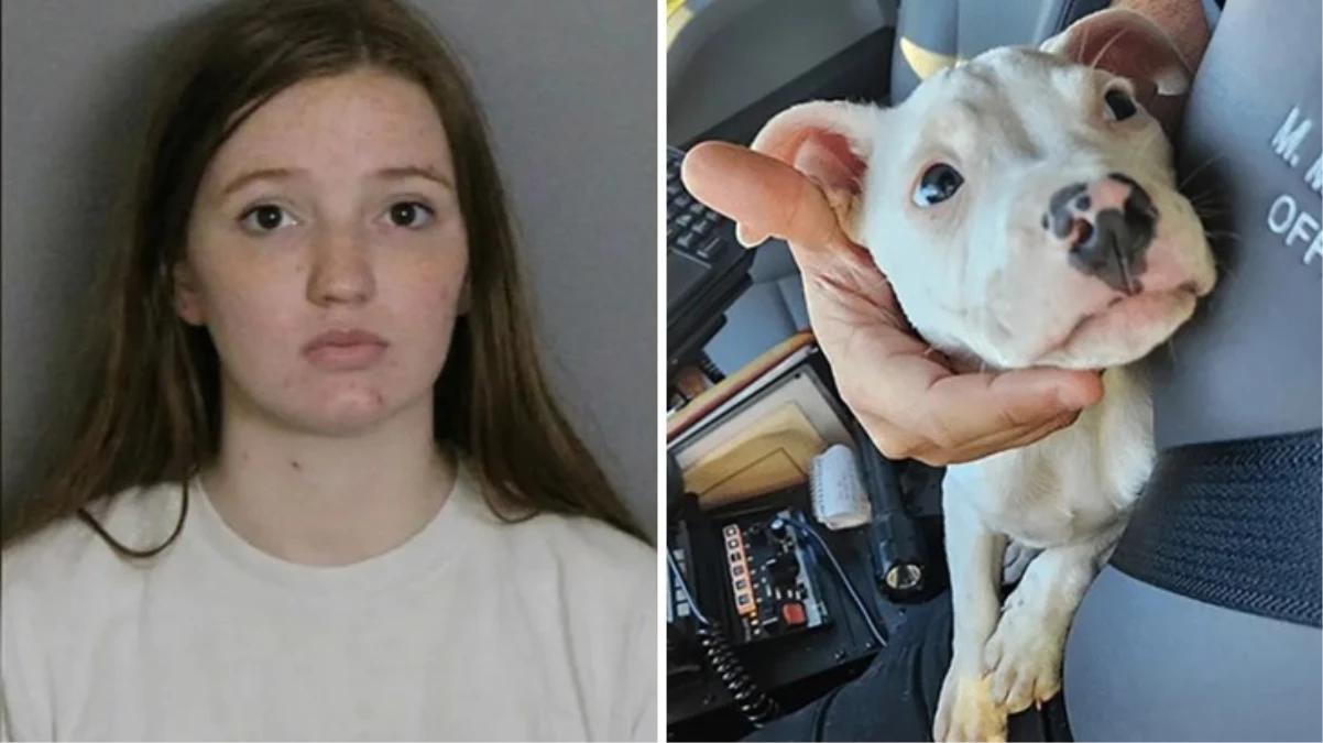 Bebeğini pitbull ile aynı odada bıraktı! Dehşet saldırı sonucu bebek 5 parmağını kaybetti