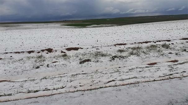 Bir anda oldu! Yoldan geçenler hemen fotoğrafını çekti