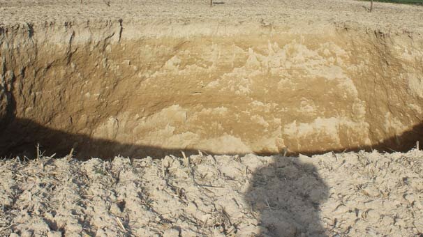 Bir kez daha oldu! Çiftçiler gördüklerinde hemen...