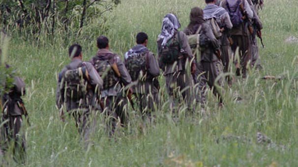 Birbirlerine düştüler! Açlıktan tilki yemeye başladık