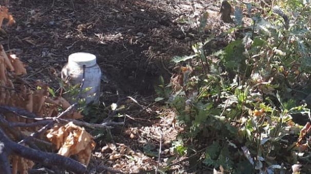 Bitlis'te bulundu! Hemen imha edildi...